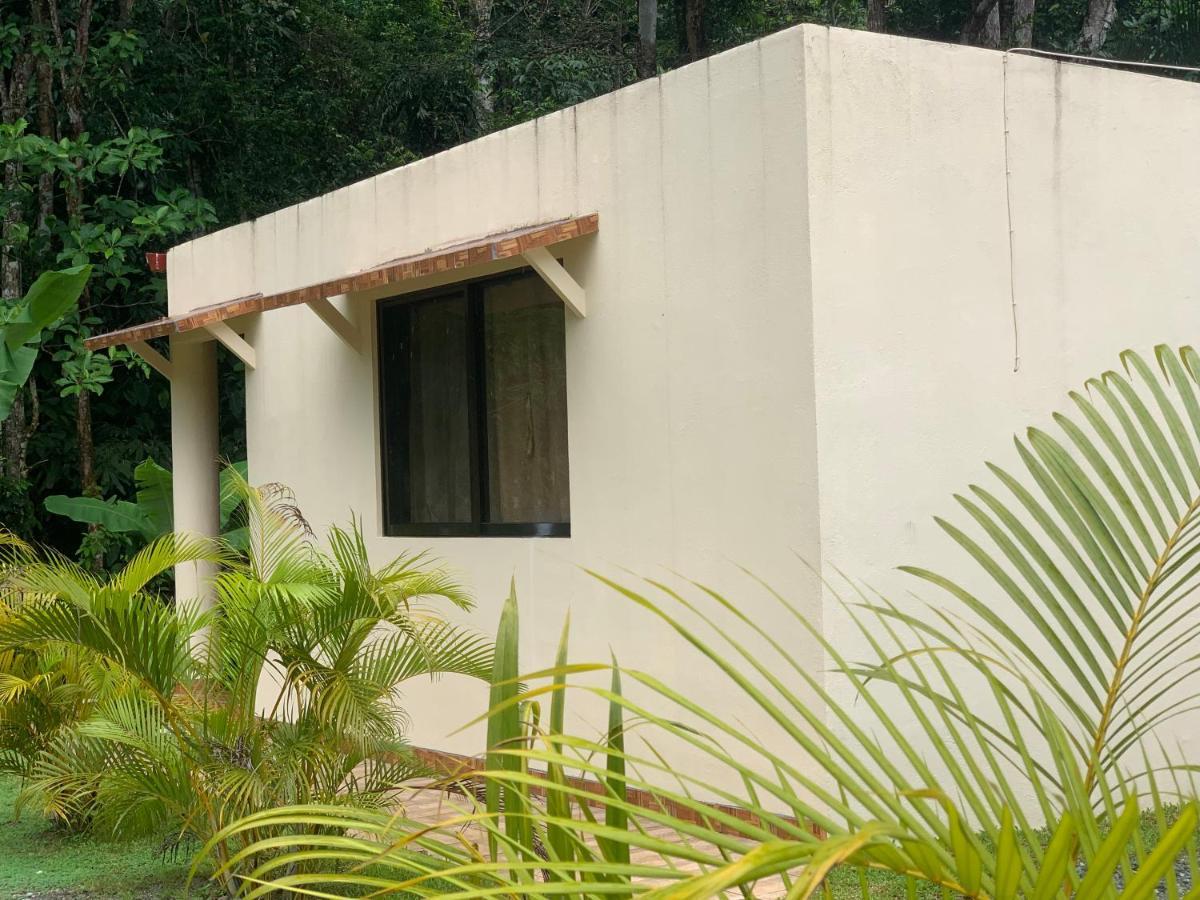 Alma Del Bosque Vacation Home And Apartments Quepos Exterior foto